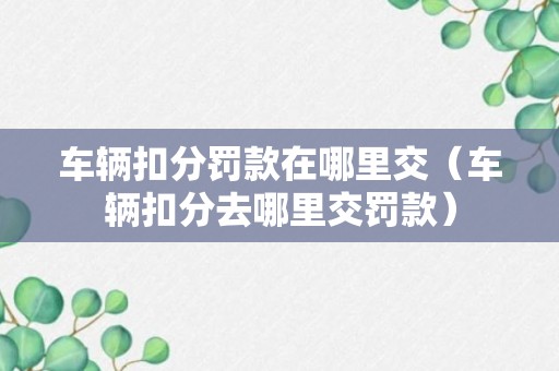 车辆扣分罚款在哪里交（车辆扣分去哪里交罚款）