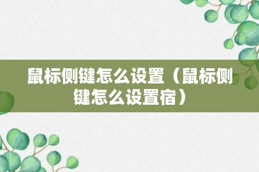 鼠标侧键怎么设置（鼠标侧键怎么设置宿）