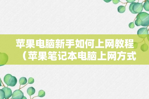 苹果电脑新手如何上网教程（苹果笔记本电脑上网方式）