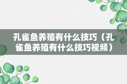 孔雀鱼养殖有什么技巧（孔雀鱼养殖有什么技巧视频）