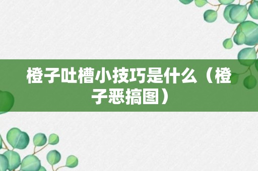 橙子吐槽小技巧是什么（橙子恶搞图）