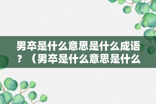 男卒是什么意思是什么成语？（男卒是什么意思是什么成语解释）