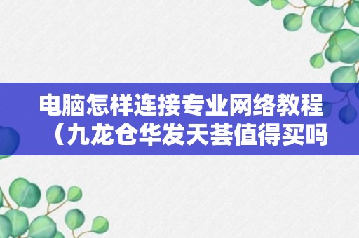 电脑怎样连接专业网络教程（九龙仓华发天荟值得买吗）