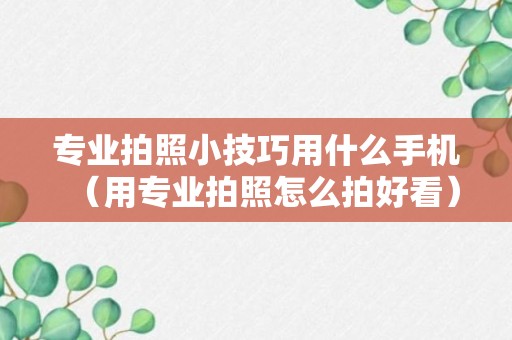 专业拍照小技巧用什么手机（用专业拍照怎么拍好看）