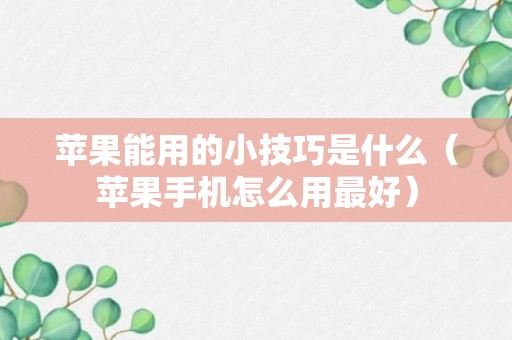 苹果能用的小技巧是什么（苹果手机怎么用最好）