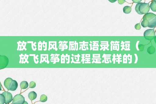 放飞的风筝励志语录简短（放飞风筝的过程是怎样的）