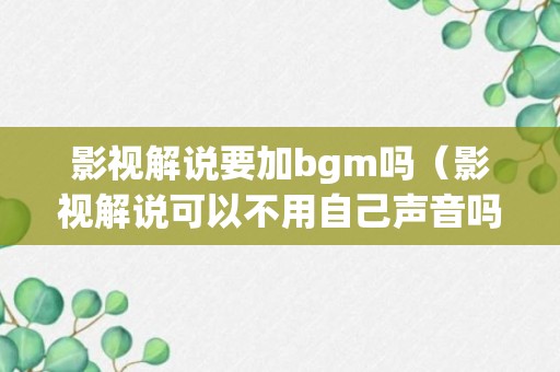 影视解说要加bgm吗（影视解说可以不用自己声音吗）