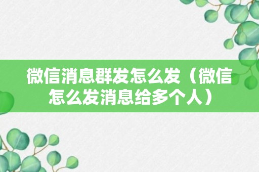 微信消息群发怎么发（微信怎么发消息给多个人）