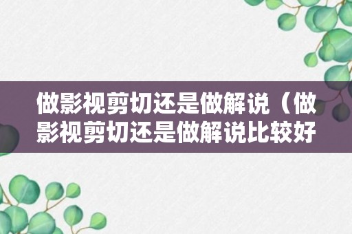 做影视剪切还是做解说（做影视剪切还是做解说比较好）