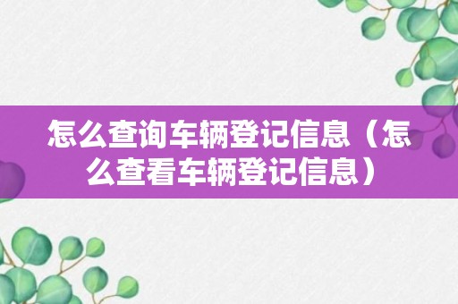 怎么查询车辆登记信息（怎么查看车辆登记信息）