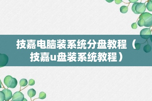 技嘉电脑装系统分盘教程（技嘉u盘装系统教程）