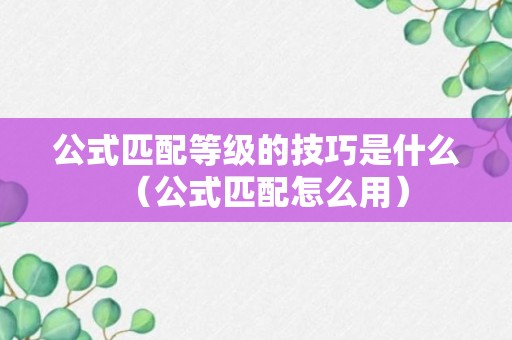 公式匹配等级的技巧是什么（公式匹配怎么用）