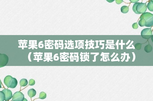 苹果6密码选项技巧是什么（苹果6密码锁了怎么办）