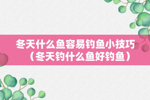 冬天什么鱼容易钓鱼小技巧（冬天钓什么鱼好钓鱼）