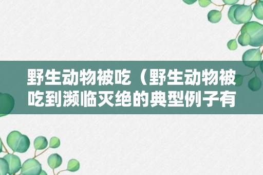 野生动物被吃（野生动物被吃到濒临灭绝的典型例子有哪些）