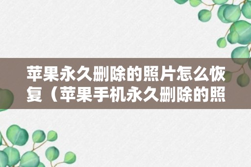 苹果永久删除的照片怎么恢复（苹果手机永久删除的照片能恢复吗）