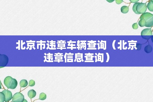 北京市违章车辆查询（北京违章信息查询）