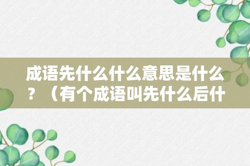 成语先什么什么意思是什么？（有个成语叫先什么后什么）