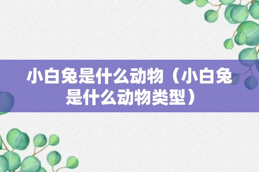 小白兔是什么动物（小白兔是什么动物类型）