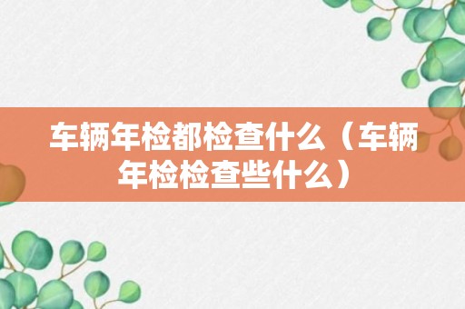 车辆年检都检查什么（车辆年检检查些什么）