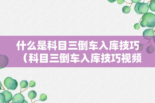 什么是科目三倒车入库技巧（科目三倒车入库技巧视频讲解）