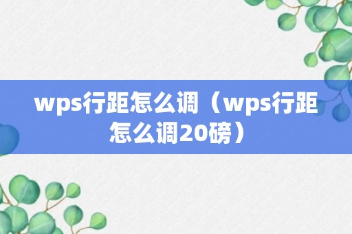 wps行距怎么调（wps行距怎么调20磅）