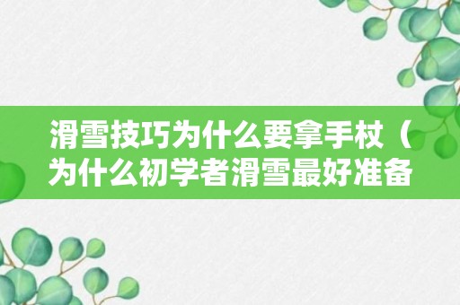 滑雪技巧为什么要拿手杖（为什么初学者滑雪最好准备薄厚两副手套）