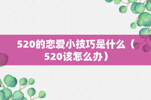 520的恋爱小技巧是什么（520该怎么办）