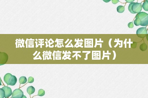 微信评论怎么发图片（为什么微信发不了图片）