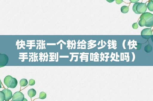 快手涨一个粉给多少钱（快手涨粉到一万有啥好处吗）