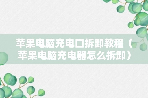 苹果电脑充电口拆卸教程（苹果电脑充电器怎么拆卸）