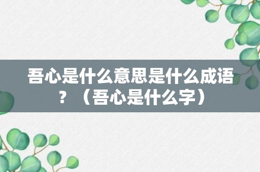 吾心是什么意思是什么成语？（吾心是什么字）