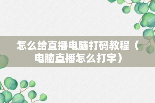 怎么给直播电脑打码教程（电脑直播怎么打字）