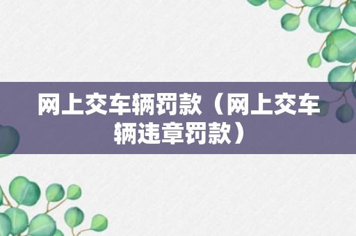 网上交车辆罚款（网上交车辆违章罚款）