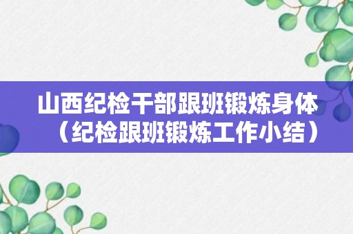 山西纪检干部跟班锻炼身体（纪检跟班锻炼工作小结）