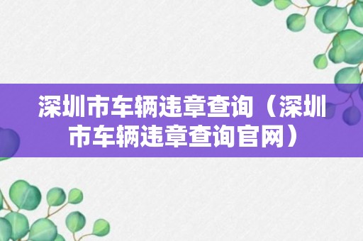 深圳市车辆违章查询（深圳市车辆违章查询官网）