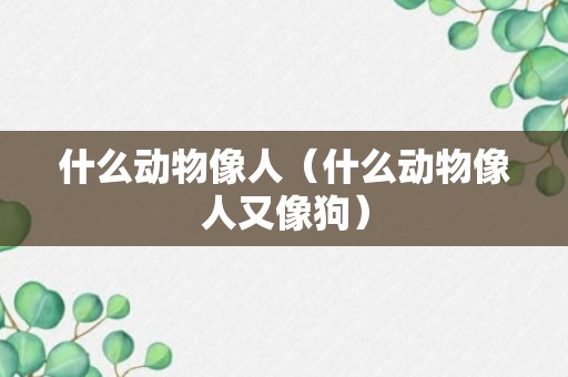 什么动物像人（什么动物像人又像狗）