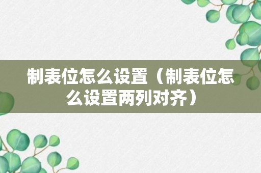 制表位怎么设置（制表位怎么设置两列对齐）