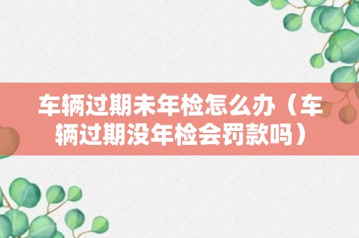 车辆过期未年检怎么办（车辆过期没年检会罚款吗）