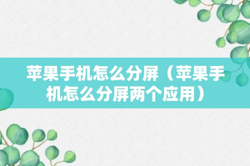 苹果手机怎么分屏（苹果手机怎么分屏两个应用）