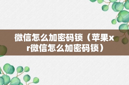 微信怎么加密码锁（苹果xr微信怎么加密码锁）