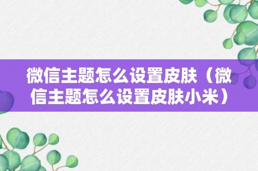 微信主题怎么设置皮肤（微信主题怎么设置皮肤小米）