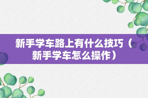 新手学车路上有什么技巧（新手学车怎么操作）