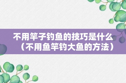 不用竿子钓鱼的技巧是什么（不用鱼竿钓大鱼的方法）