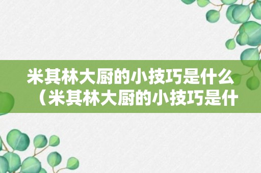 米其林大厨的小技巧是什么（米其林大厨的小技巧是什么）