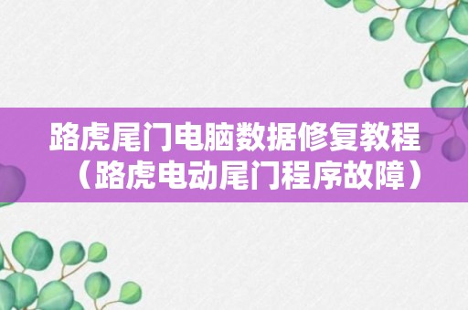 路虎尾门电脑数据修复教程（路虎电动尾门程序故障）