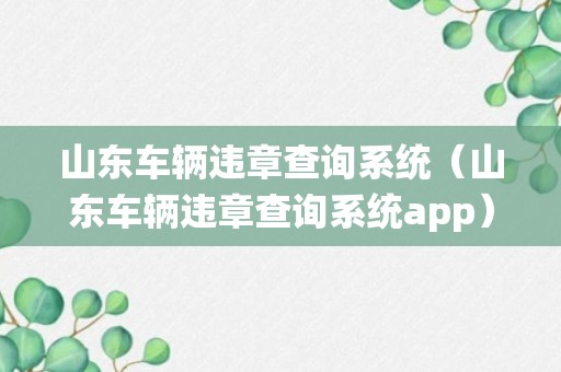 山东车辆违章查询系统（山东车辆违章查询系统app）