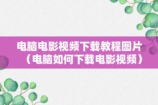 电脑电影视频下载教程图片（电脑如何下载电影视频）