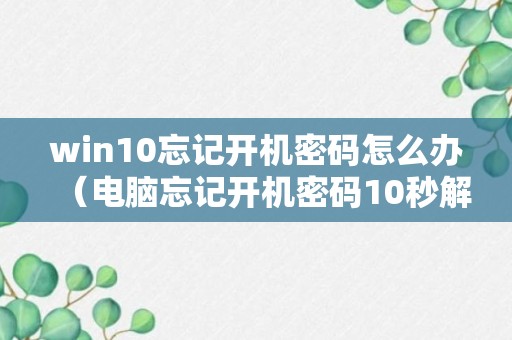 win10忘记开机密码怎么办（电脑忘记开机密码10秒解决）