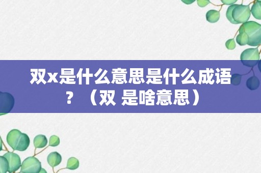 双x是什么意思是什么成语？（双 是啥意思）